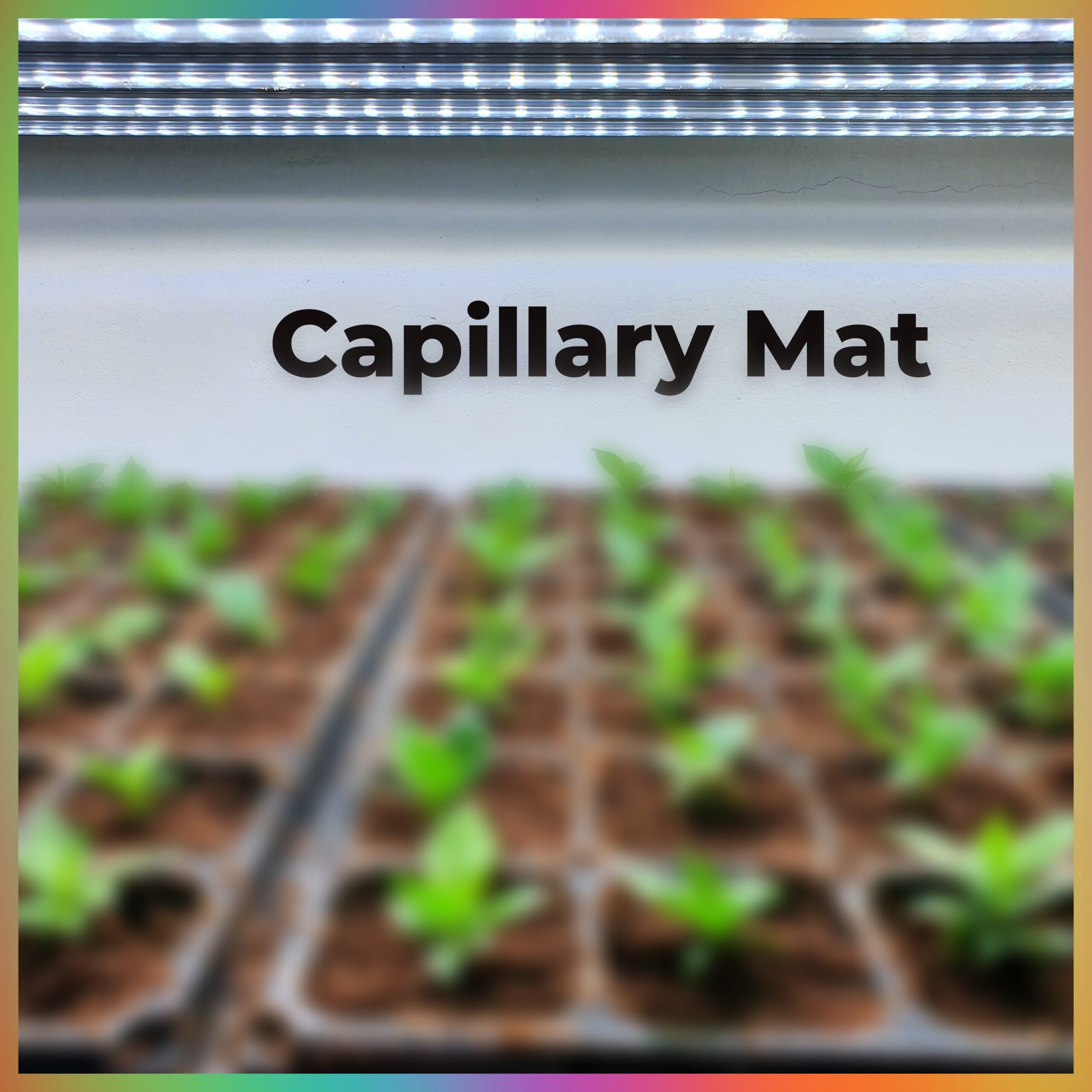 capillary-mat-system