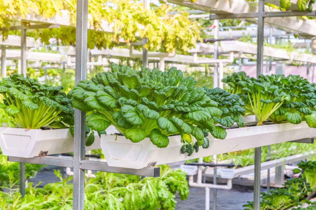 Irrigation-Methods-Used-in-Hydroponic-Farming